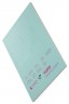 Yupo Translucent 153gsm 15 Sheets Pad 11x14inch PAD +1 Free Derivan Ergopro Marker(random color)