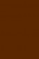 Liquitex Professional Acrylic Ink: Transparent Raw Umber 30ml