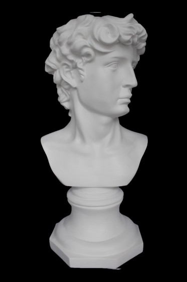 Wooden Mannequin & Models: David Head Sculpture