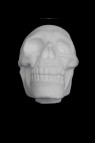 Wooden Mannequin & Models: Human Anatomy Skull Model (small)