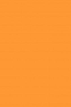 Tri Art UVfx Paint: UVfx Fluorescent Tangerine 120ml