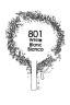 Pebeo Deco Matt Spray Paint : White 200ml