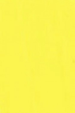 Golden Fluid Acrylic: Primary Yellow  118ml