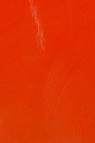 Gamblin Artist Oil: Cadmium Red Light 150ml
