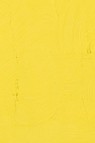 Gamblin Artist Oil: Cadmium Lemon 150ml