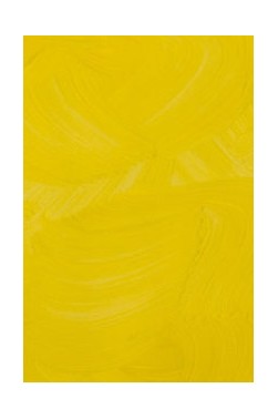 Gamblin Artist Oil: Cadmium Yellow Medium 150ml