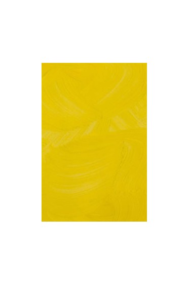 Gamblin Artist Oil: Cadmium Yellow Medium 150ml