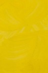 Gamblin Artist Oil: Cadmium Yellow Medium 150ml