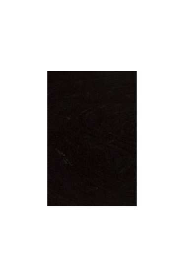 Gamblin Artist Oil:  Mars Black 150ml