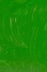 Gamblin Artist Oil: Permanent Green Light 150ml