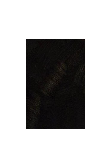 Gamblin Artist Oil: Black Spinel 37ml