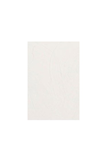 Gamblin Artist Oil: Dry White 37ml