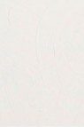 Gamblin Artist Oil: Quick Dry White 37ml
