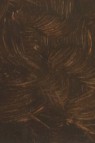 Gamblin 1980 Oil: Raw Umber 150ml