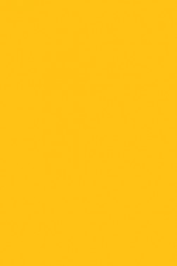 Pebeo Studio Acrylic: Cadmium Yellow Medium Hue 500ml