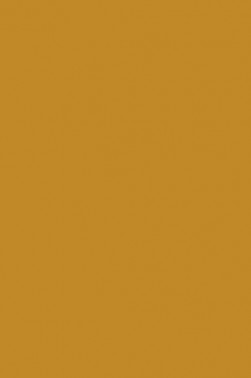 Pebeo Studio Acrylic: Yellow Ochre 500ml