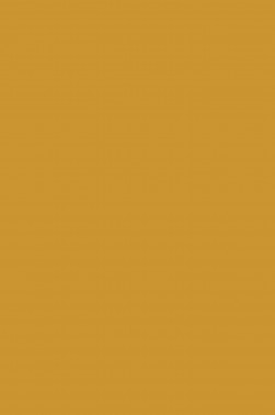 Pebeo Studio Acrylic: Iridescent Precious Gold  500ml
