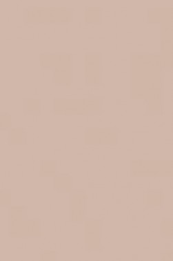 Liquitex Acrylic Spray Paint: Burnt Umber 7 400ml
