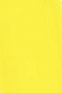 Golden Heavy Body Acrylic: C.P. Cadmium Yellow Medium 148ml