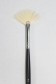 XDT Quality Brush: 589 Fan Brush 2