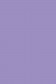 Sakura Acrylic Color: Lavender 75ml