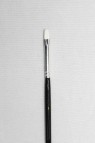 Berkeley Brush: 777F Flat 1