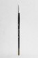 Berkeley Brush: 888 Pointed Round 00