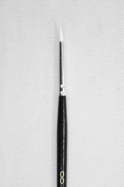 Berkeley Brush: 888 Pointed Round 00