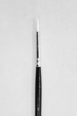 Berkeley Brush: 888 Pointed Round 1