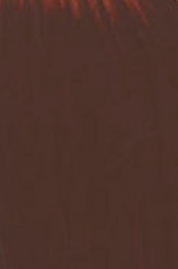 Golden High Flow Acrylic: Burnt Sienna 30ml