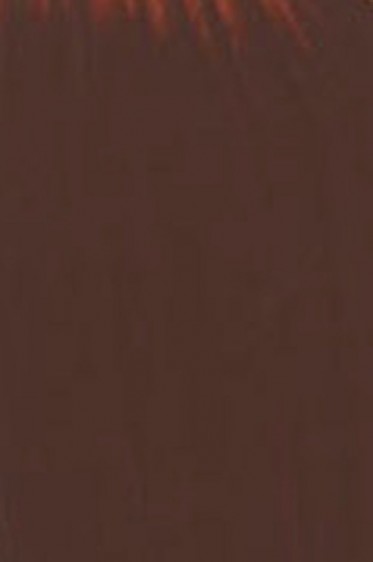 Golden High Flow Acrylic: Burnt Sienna 30ml