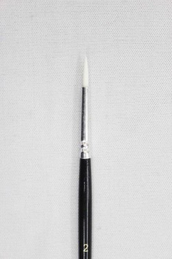 Berkeley Brush: 888 Pointed Round 2