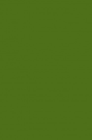 Sakura Acrylic Color: Olive Green 75ml