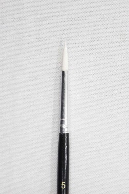 Berkeley Brush: 888 Pointed Round 5