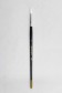 Berkeley Brush: 888 Pointed Round 7