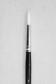 Berkeley Brush: 888 Pointed Round 7