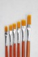 Berkeley Brush: Flat Orange Nylon Brush  6pcs Set
