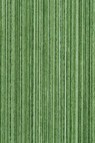 Michael Harding Premium Oil Color: Terre Verte 40ml