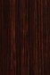 Michael Harding Premium Oil Color: Burnt Umber 40ml
