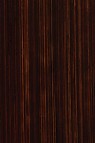 Michael Harding Premium Oil Color: Burnt Umber 40ml