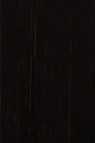 Michael Harding Premium Oil Color: Vandyke Brown 40ml