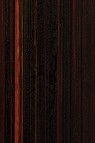 Michael Harding Premium Oil Color: Transparent Oxide Brown 40ml