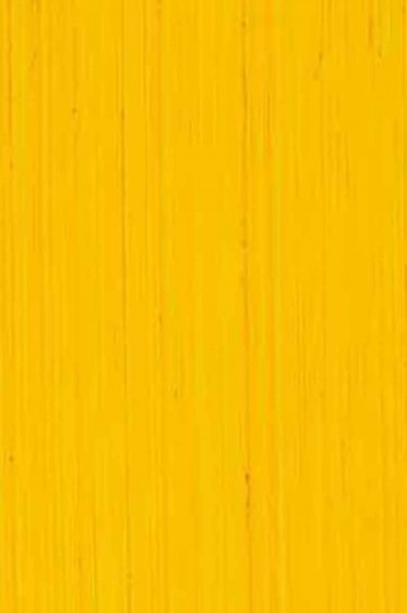 Michael Harding Premium Oil Color: Cadmium Yellow 40ml