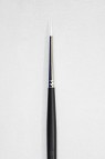 Sakura Brush: 555 Round 0