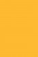 Sakura Acrylic Color: Permanent Yellow Deep 75ml