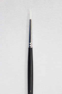 Sakura Brush: 555 Round 1