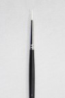 Sakura Brush: 555 Round 1