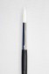 Sakura Brush: 555 Round 10
