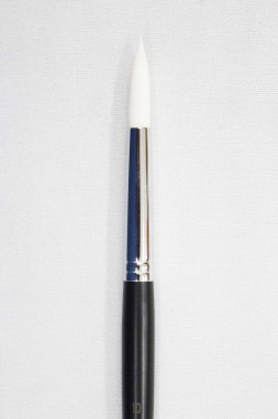 Sakura Brush: 555 Round 10