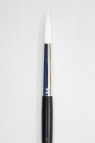 Sakura Brush: 555 Round 10